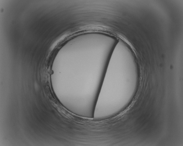 X0000082951067200702011042