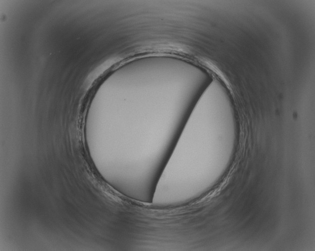 X0000082951071200702011042