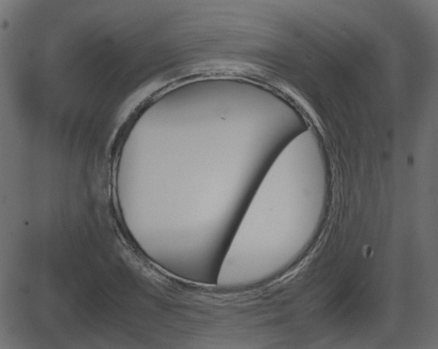 X0000082951075200702011042