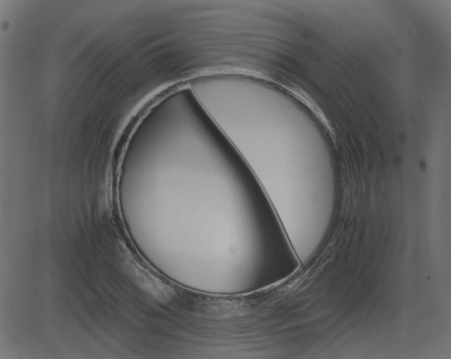 X0000082951076200702011042