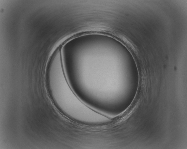 X0000082951077200702011042