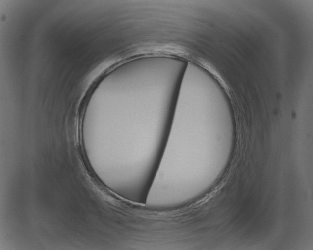X0000082951079200702011042