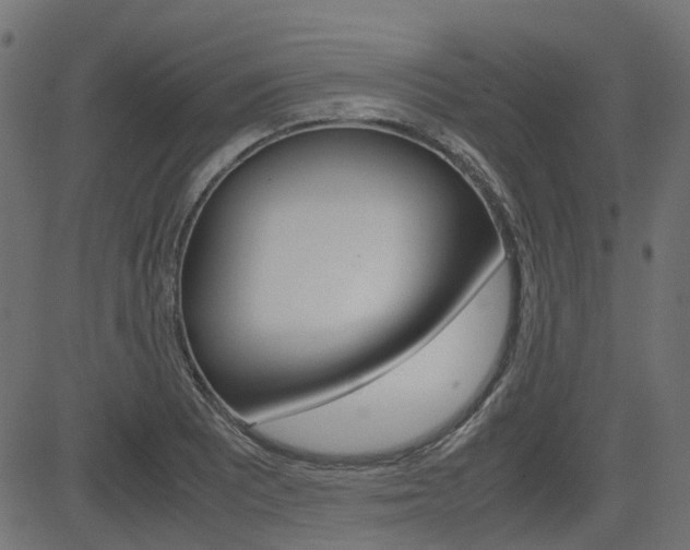 X0000082951081200702011042
