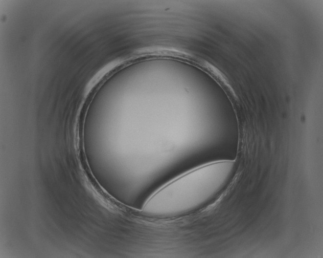 X0000082951082200702011042