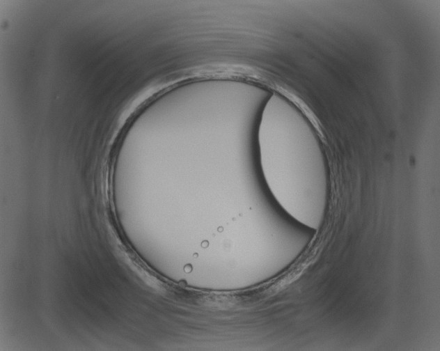 X0000082951083200702011042