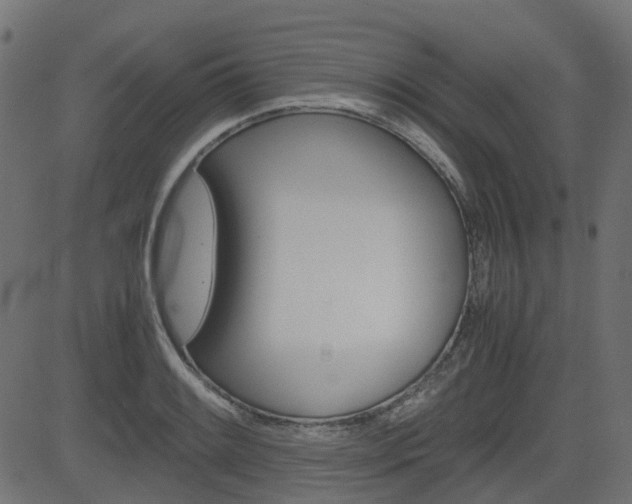 X0000082951084200702011042