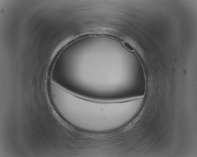 X0000082951085200702011042