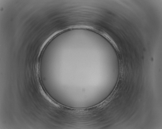 X0000082951092200702011042