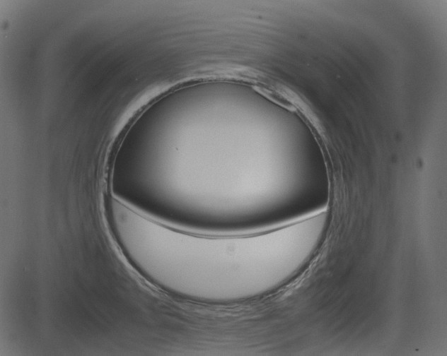 X0000082951093200702011042