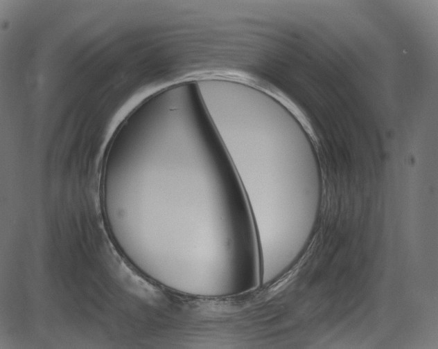 X0000082951102200702011041