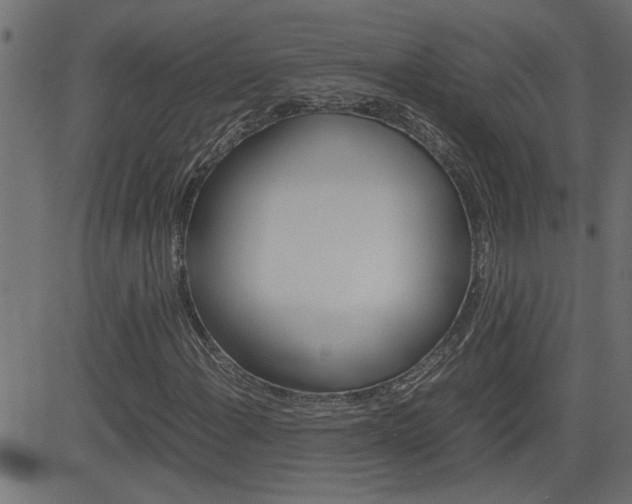 X0000082951108200702011041