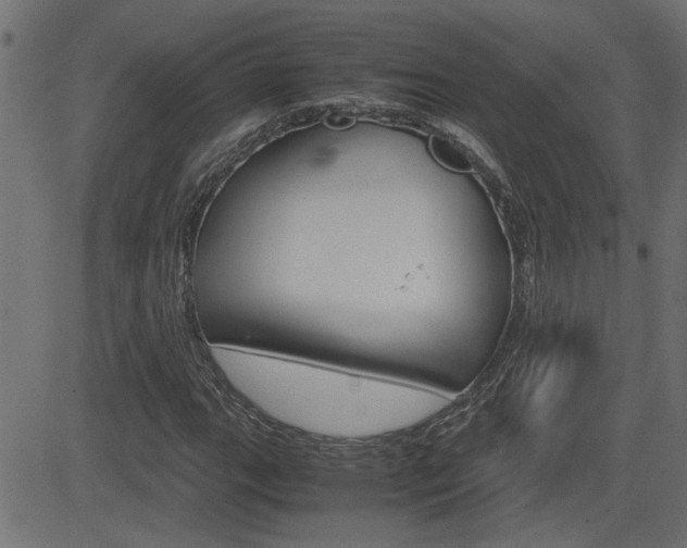 X0000082951111200702011041
