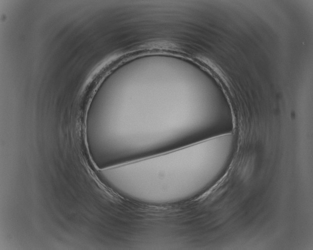 X0000082951115200702011041