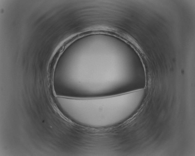 X0000082951116200702011041