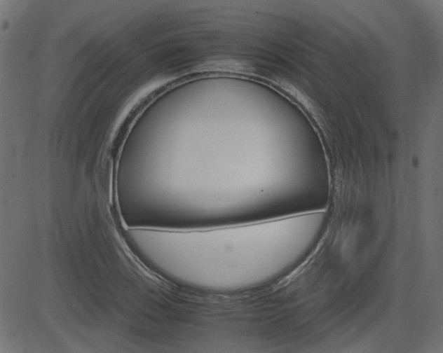 X0000082951123200702011041