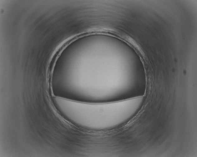 X0000082951124200702011041