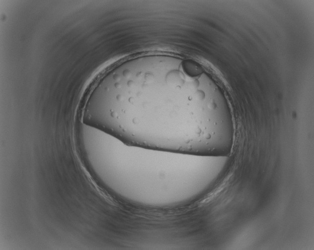 X0000082951125200702011041