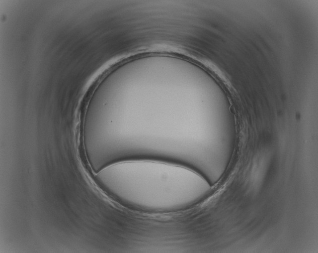 X0000082951126200702011041