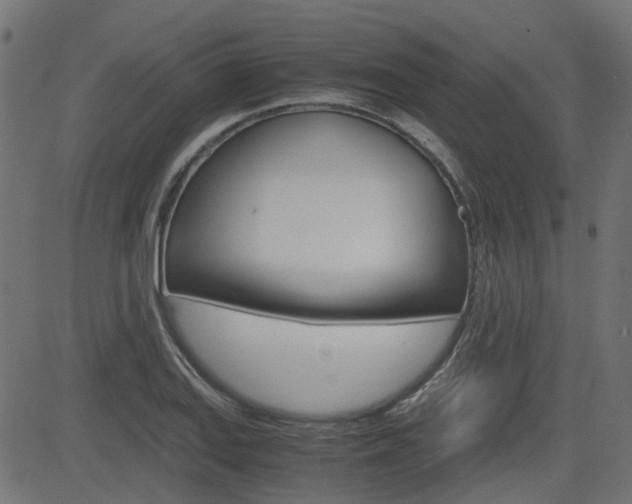 X0000082951127200702011041