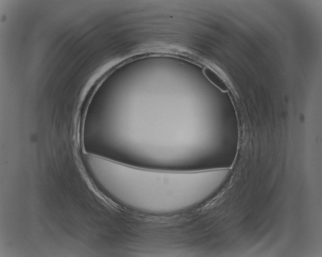 X0000082951128200702011041