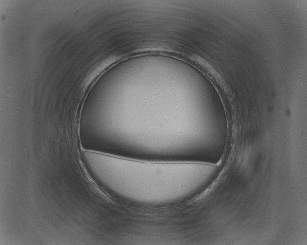 X0000082951129200702011041