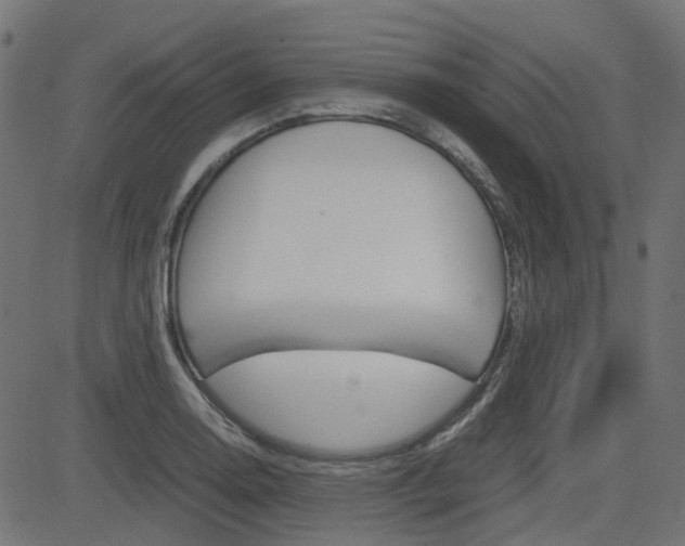 X0000082951130200702011041