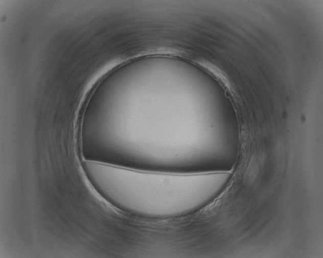 X0000082951135200702011041