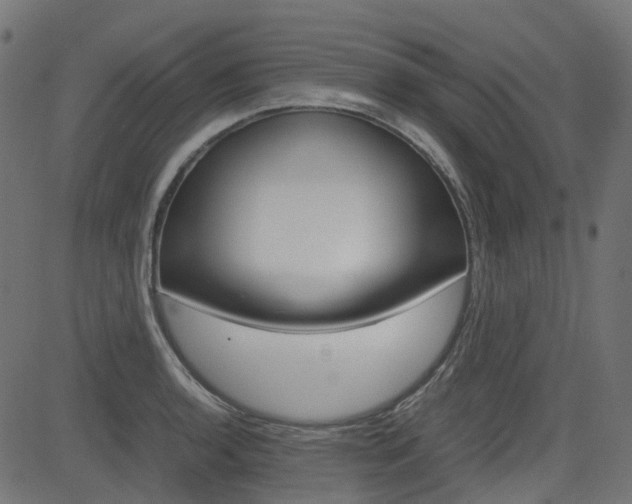 X0000082951136200702011041