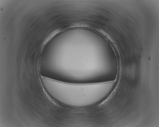 X0000082951137200702011041