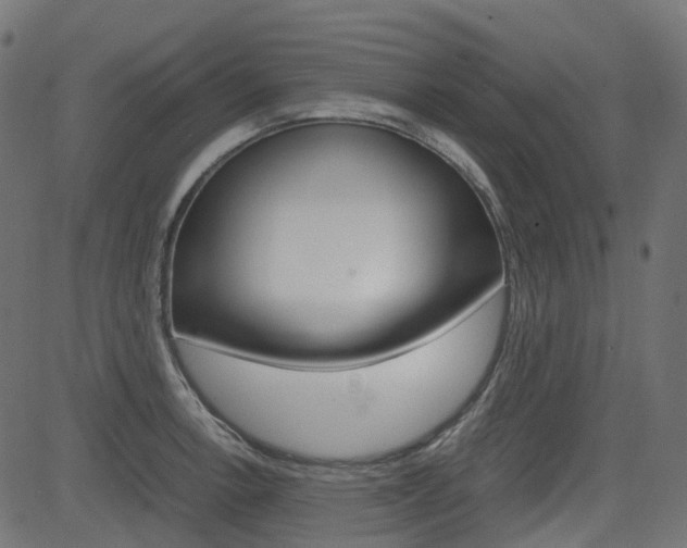 X0000082951138200702011041