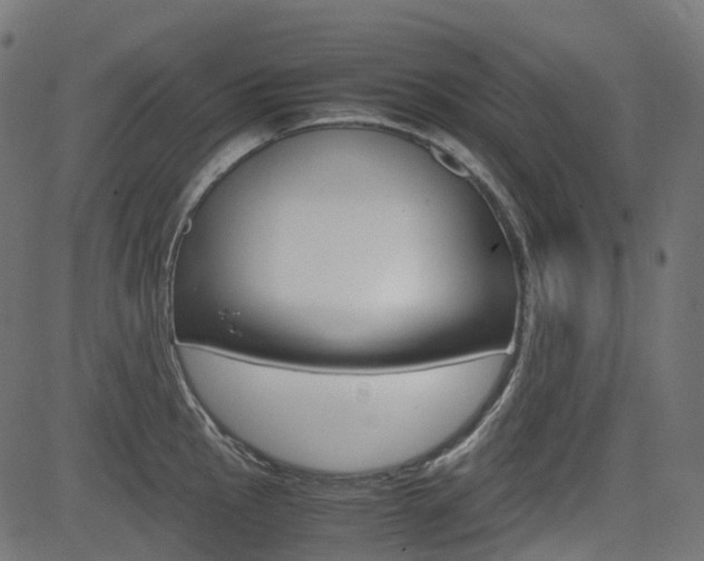 X0000082951145200702011041