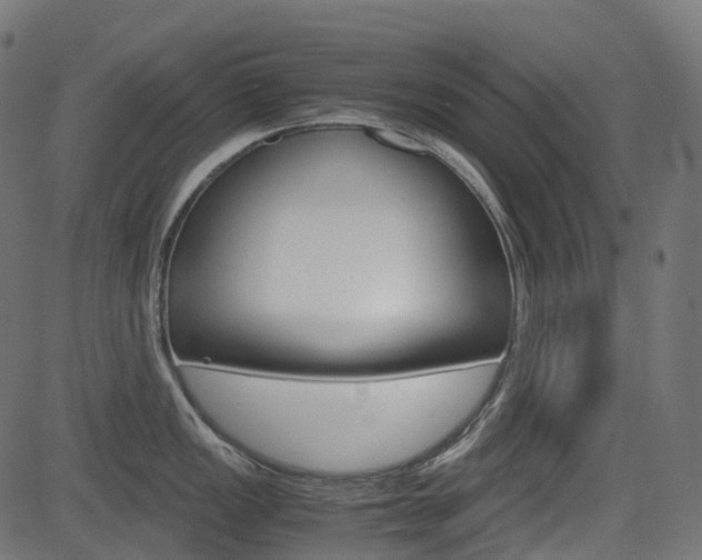X0000082951149200702011041