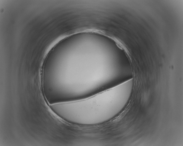 X0000082951151200702011041