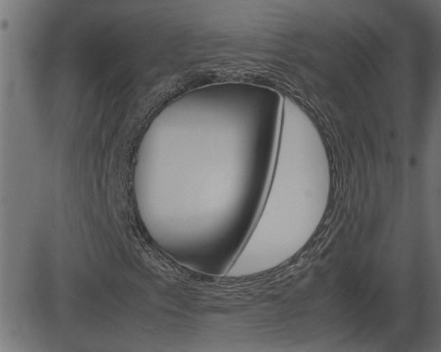 X0000082951153200702011041