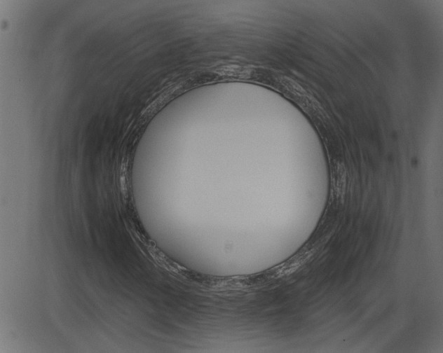 X0000082951154200702011041