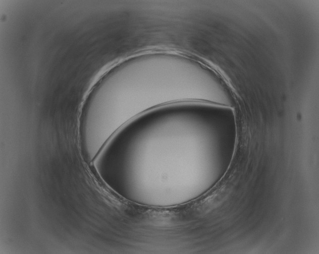 X0000082951168200702011040