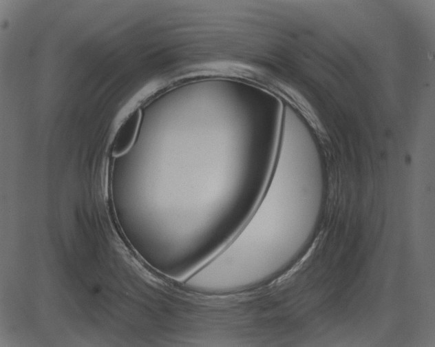 X0000082951180200702011040