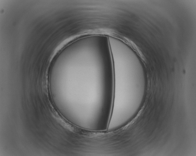 X0000082951184200702011040