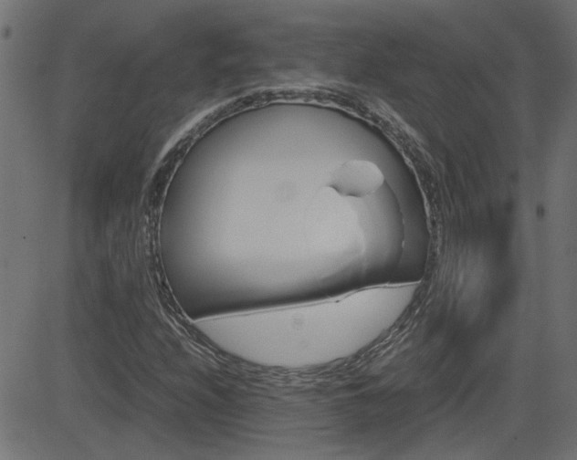 X0000082951208200702011039