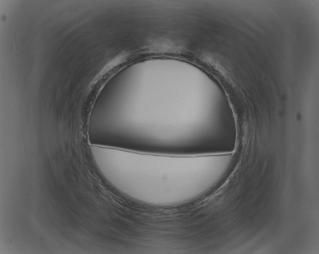 X0000082951213200702011039