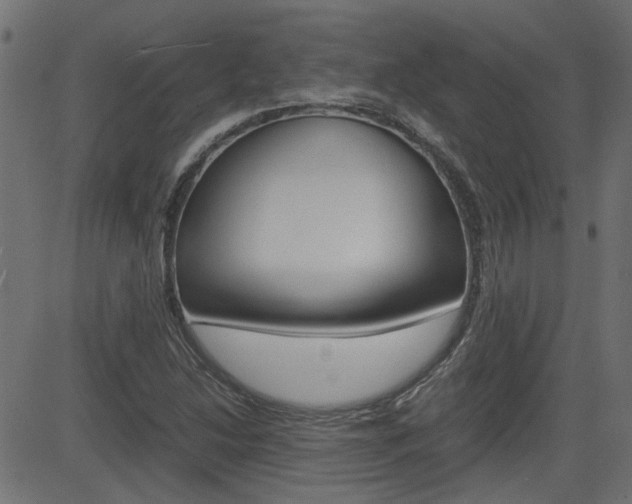 X0000082951214200702011039