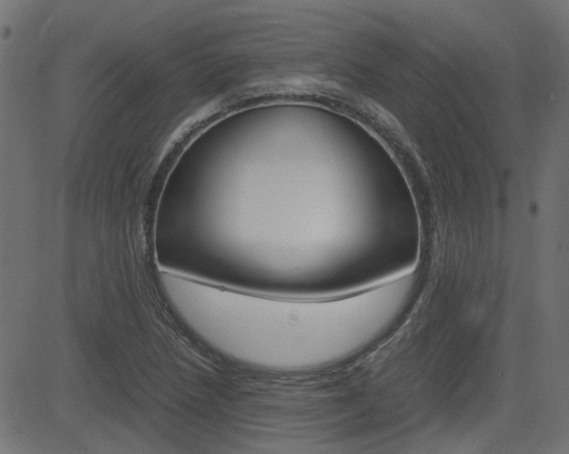 X0000082951218200702011039