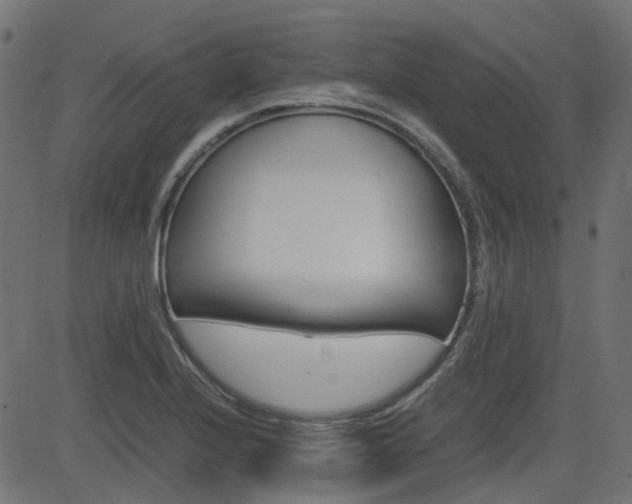 X0000082951224200702011039
