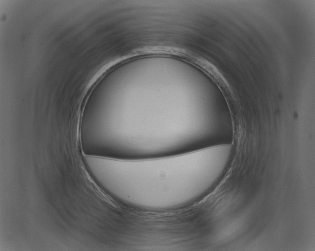 X0000082951228200702011039