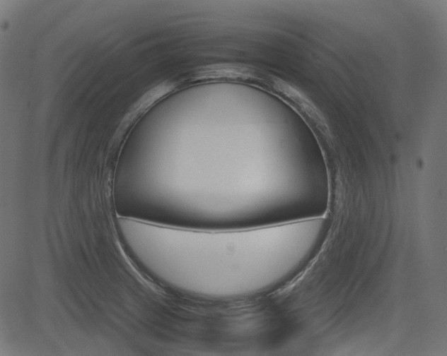 X0000082951233200702011040