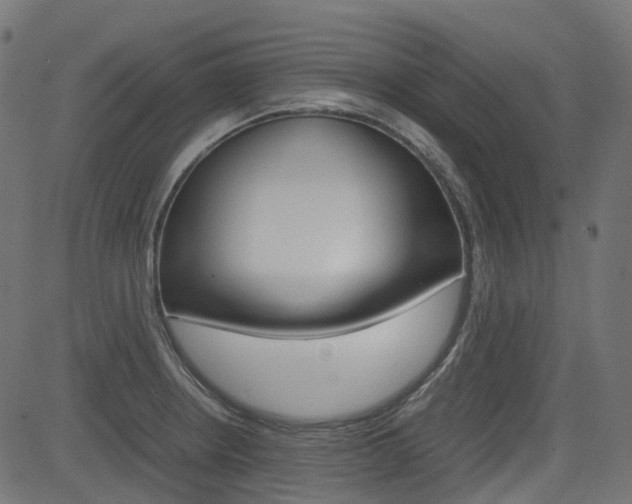 X0000082951234200702011040