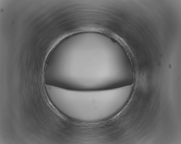 X0000082951236200702011040