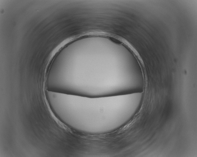 X0000082951245200702011040