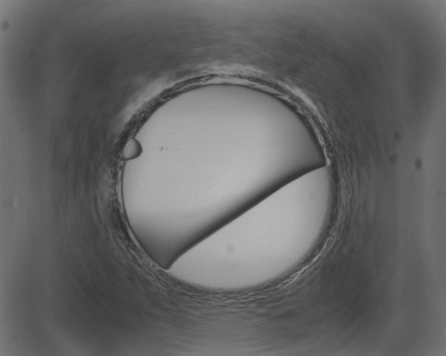 X0000082951263200702011039