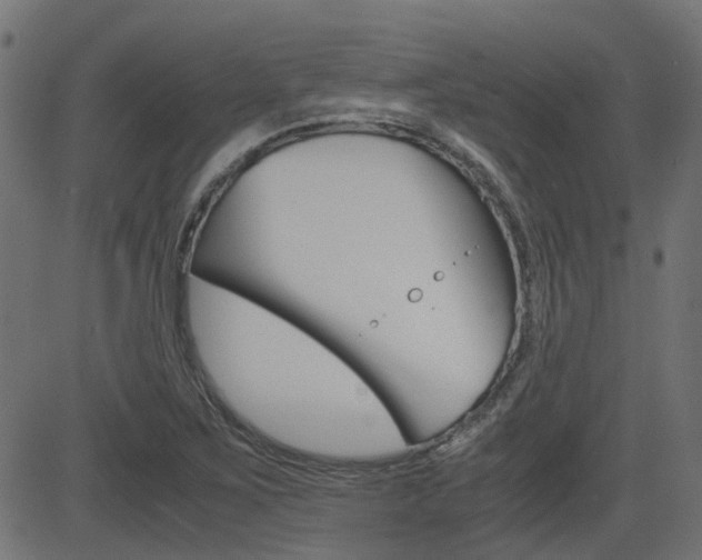 X0000082951267200702011039